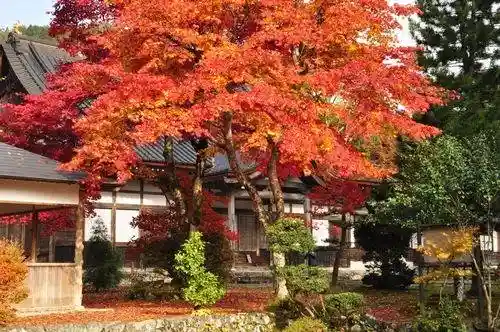 Kyo Hijiri Tera (Ashikaga Garden)