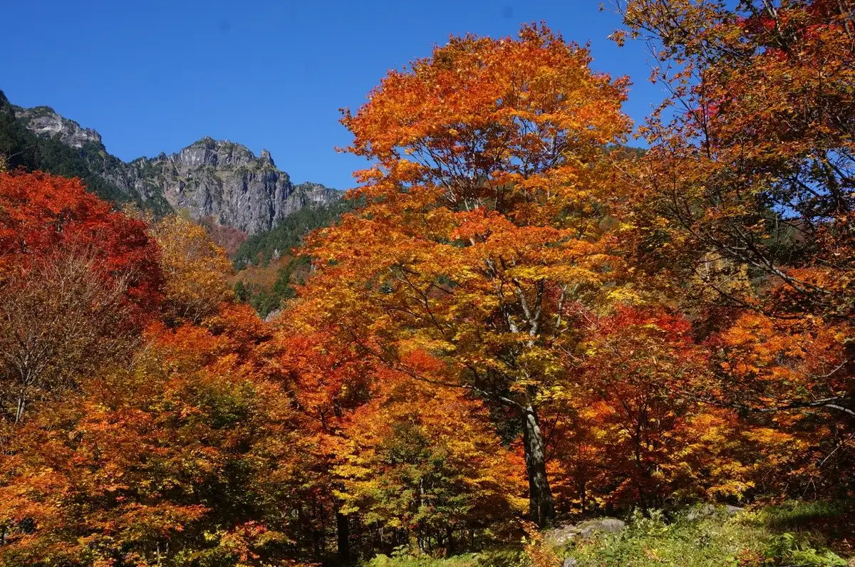 Okuhida Onsenkyo Tourism Association