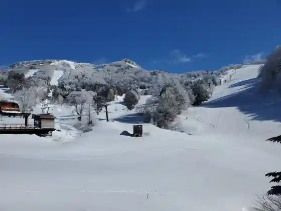 YAMABOKU WILD SNOW PARK