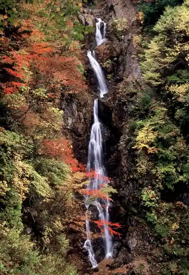 Shichimi Otaki
