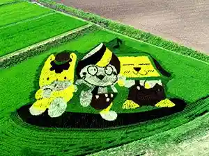 Rice Paddy Art (Nakayama Basin Roadside Station)