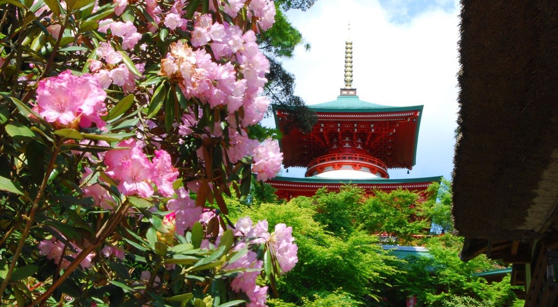 Koya-ji (Rhododendron Temple)
