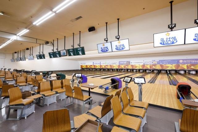 Merryland Takeo Bowl