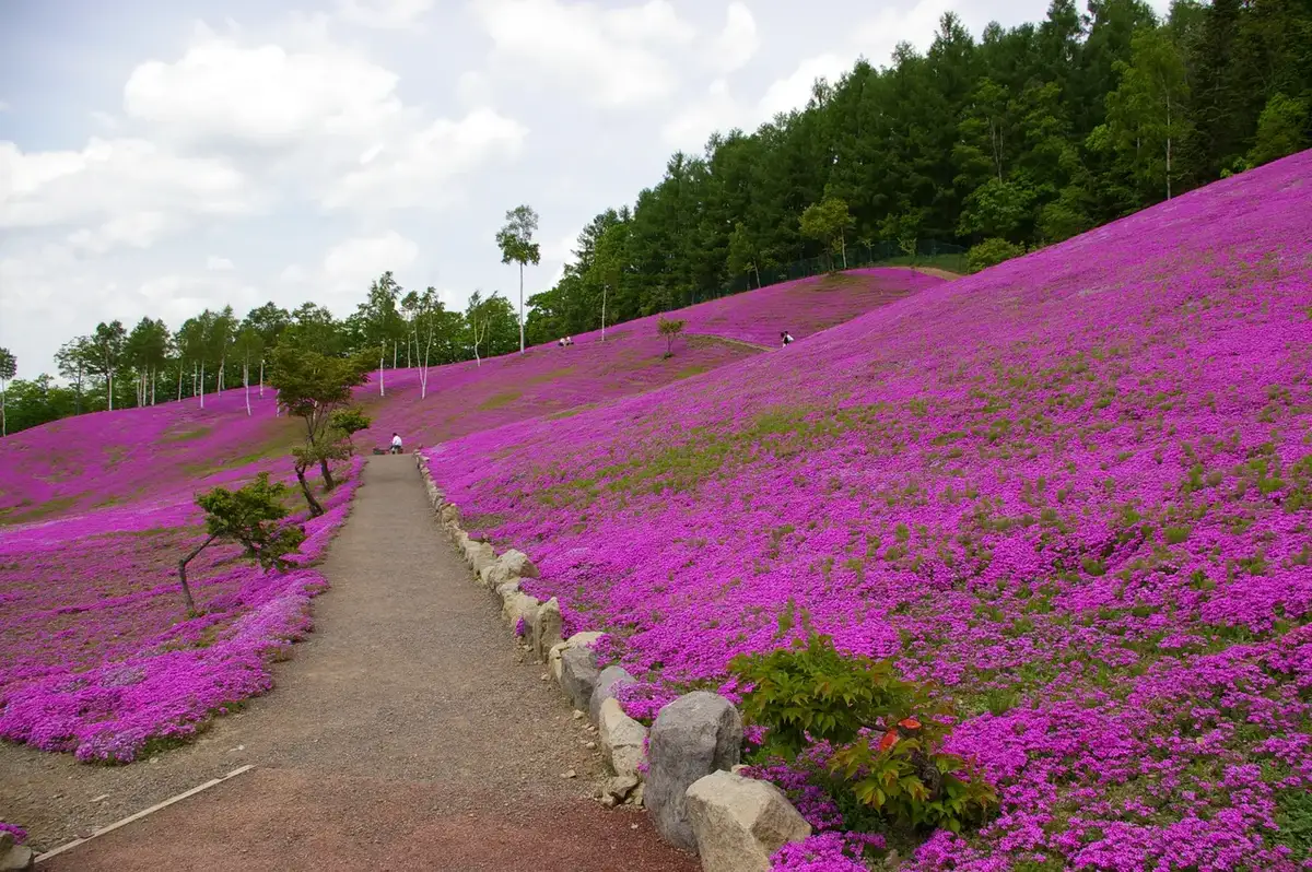 Takinoue, Hokkaido
