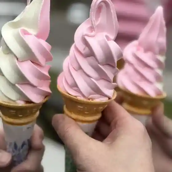 芝ざくらソフトクリーム