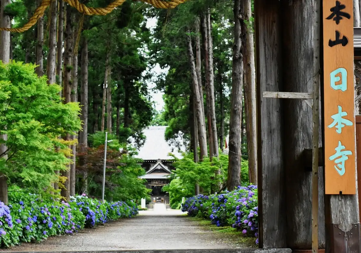 Seito Yama Nippon Tera