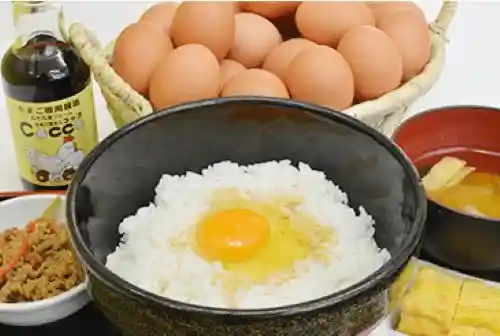 Kujukuri Farm Tamago Ya San Cocco
