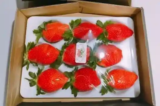 Fresh Berry Tamamura