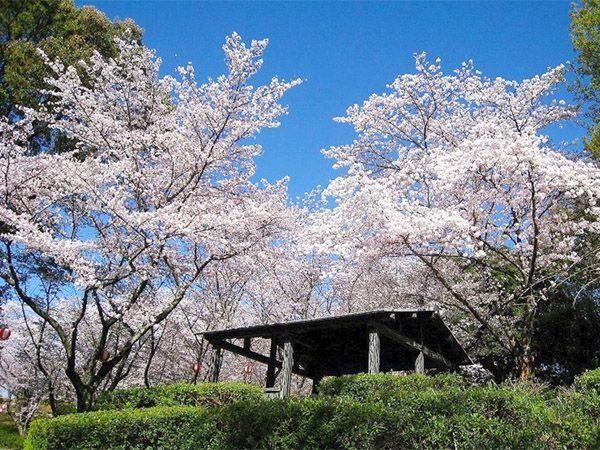 Jagatani Park