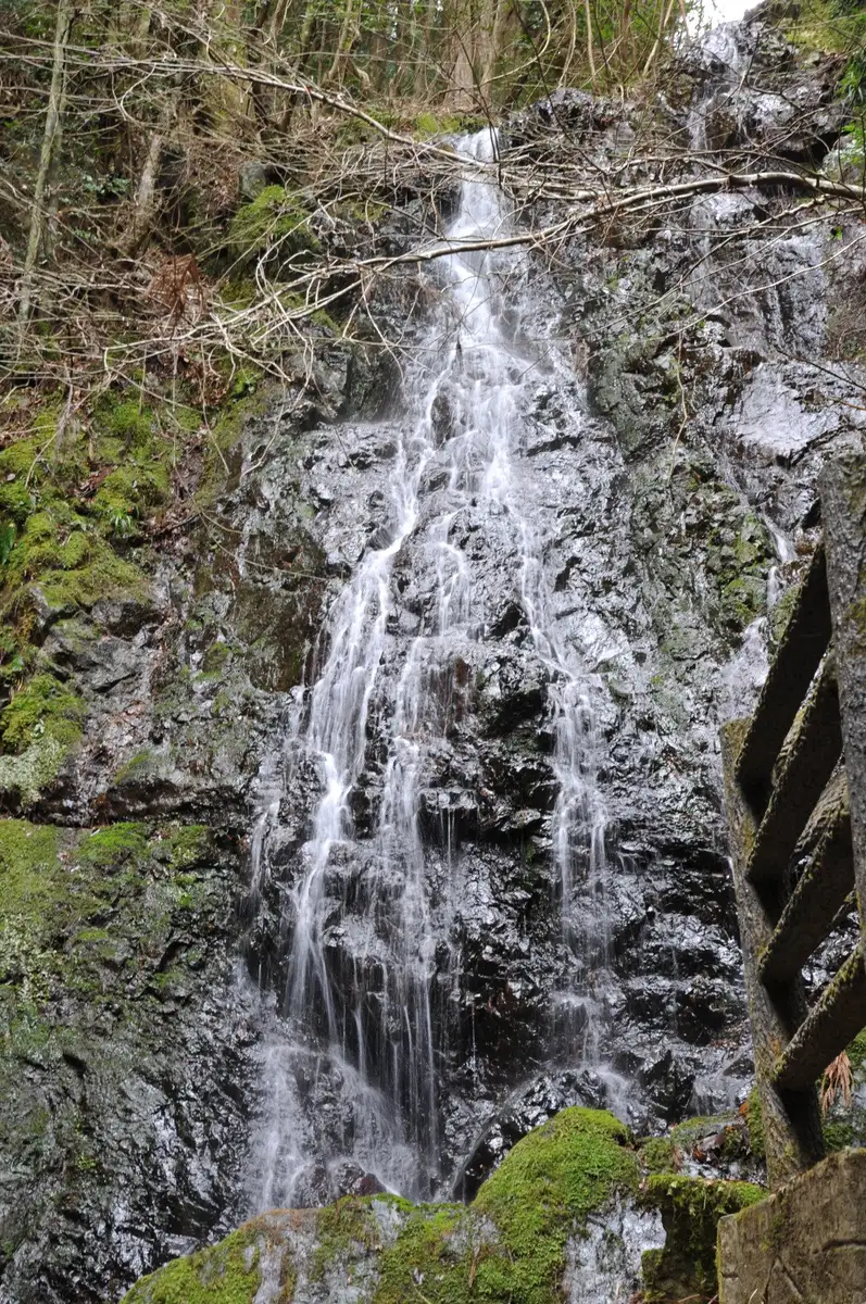 Mandara Falls