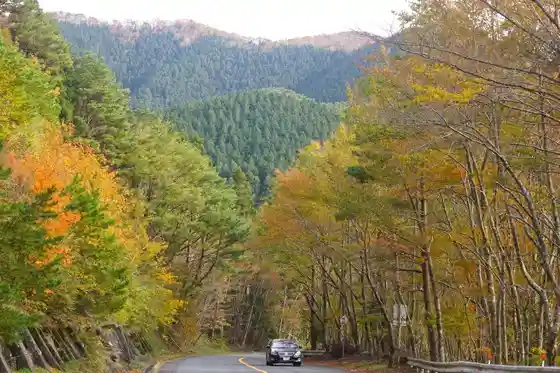 Takano Ryujin Sukai Line