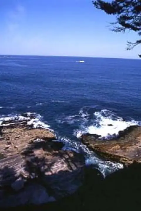 Haipe Koikorobe Cretaceous Fossil Site