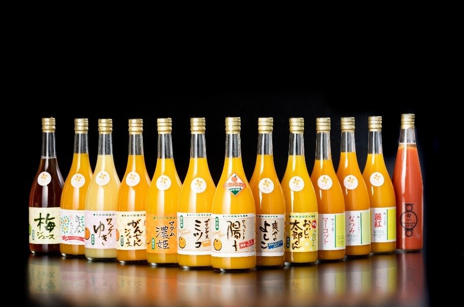 Tajima Citrus Farm Experience