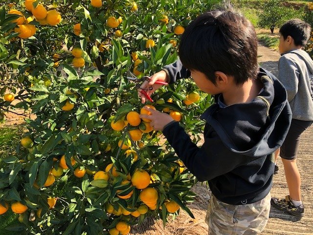 Yamamoto Farm