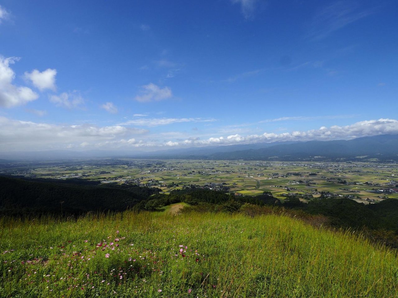 Myokenno Nature Forest Observation Park