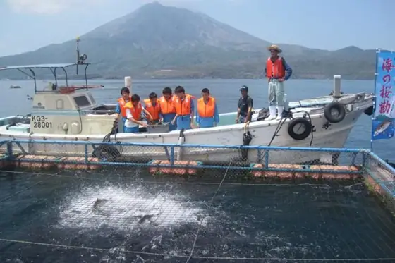 Tarumizu Fishery Experience