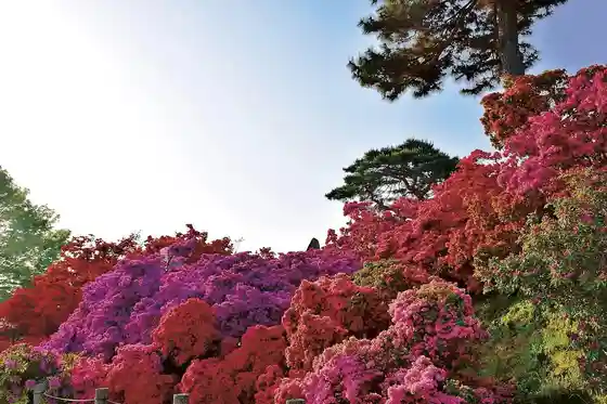 Tsutsuji-gaoka Park