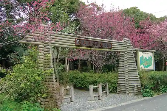 Amami Nature Observation Forest