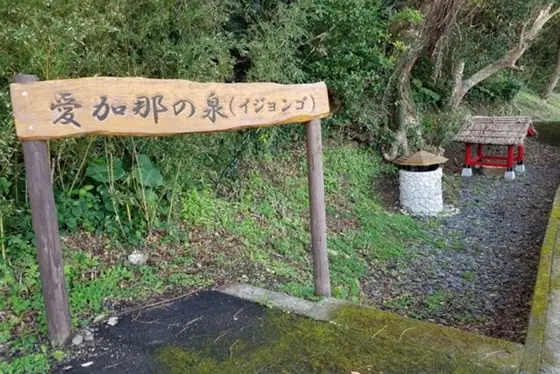 Aikana Spring