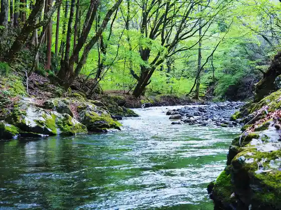 Yokokawa Gorge