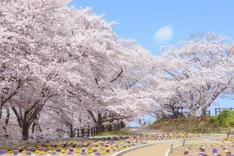 Tendo Park (Mt. Maizuru)