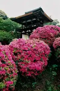 Chogaku Tera