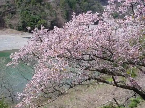 Ina Ozawa Kanzakura
