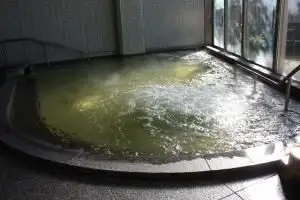 Tobishima Fureai Onsen