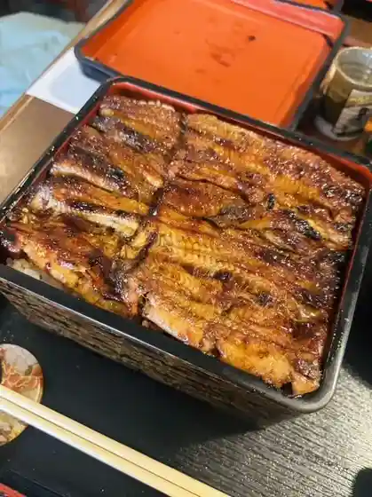 Torimineunagi