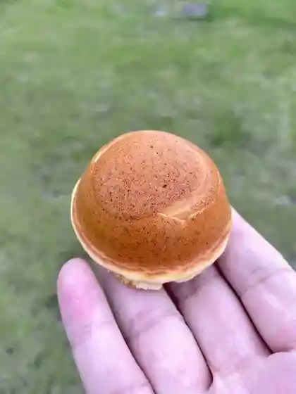 Okada no Bakery Ju