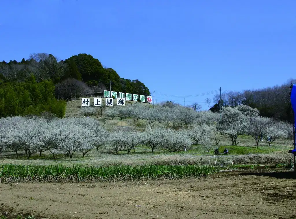 Kannon Yama Ume Village