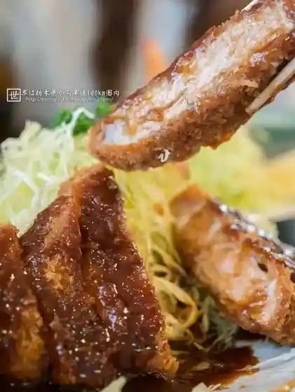 Tonkatsu Chitose