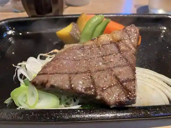 Watetsuita Hishi-ya