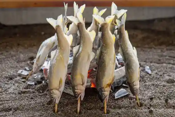 大瀬観光やな