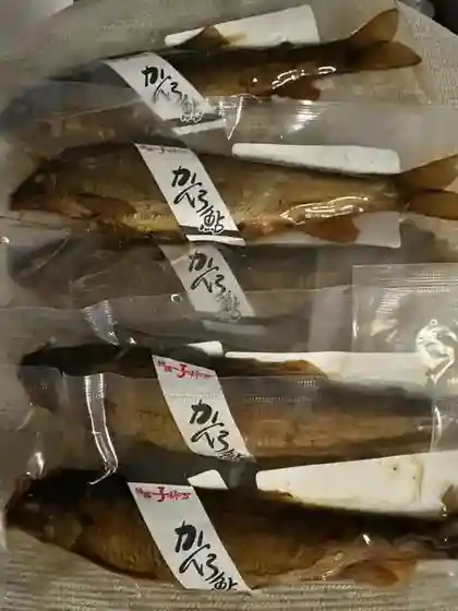 Kawazakana Mizui