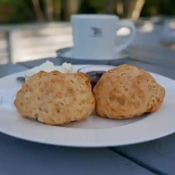 ナス・ショウゾウ カフェ