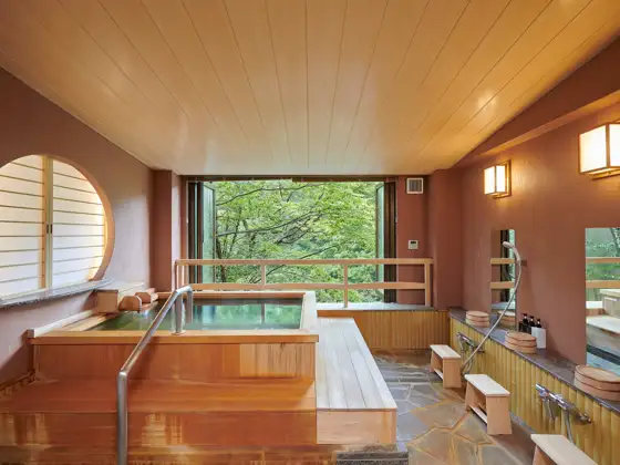 Zenshitsu Onsen Hanrotenburotsuki Resort Nikko Garden Hotel