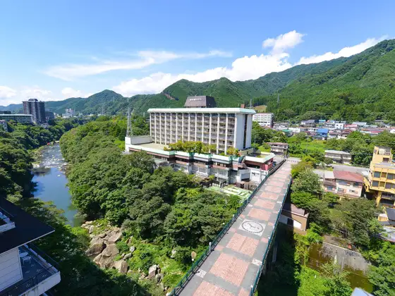 Oedo Onsen Monogatari Premium Kinugawakanko Hotel