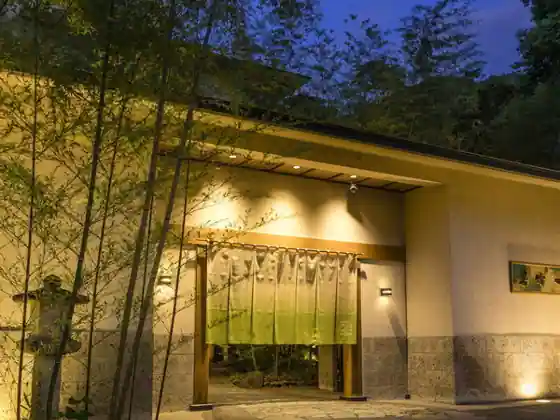Kinugawa Onsen Ryokan Wakatake no Sho