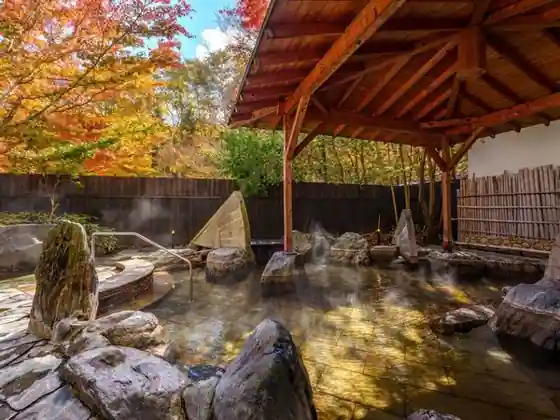 Kame no I Hotel Nikkoyunishikawa Oru Inn Kurushibu Hotel