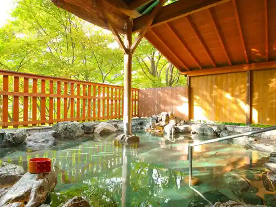 Oedo Onsen Monogatari Hotel Kinugawagyoen