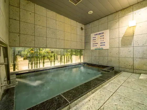 Tennen Onsen Shutsuryu no Yu Supa Hotel Oyama