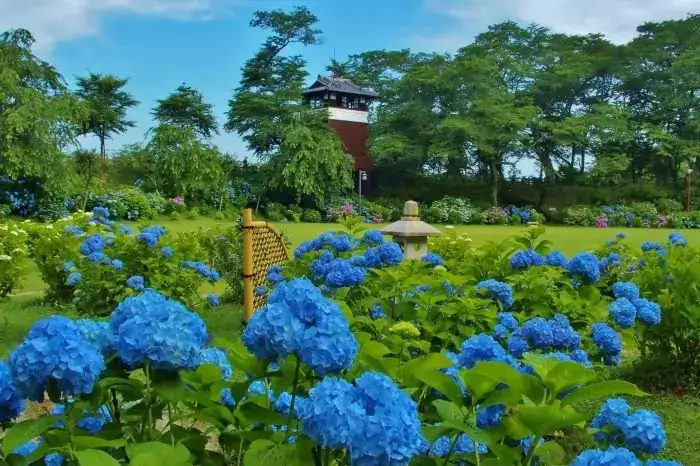 Kuroba Castle Park