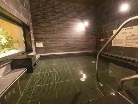 Tennen Onsen Hidesato no Yu Supa Hotel Sanofujioka