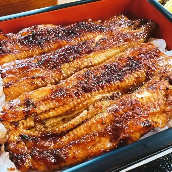 Unagi Tajima