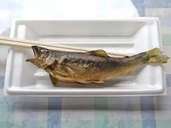 Kago Iwa
