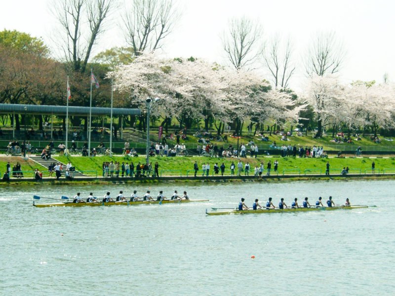 Cinq Japon Toda Park