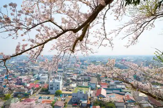 Sanno Dai Park