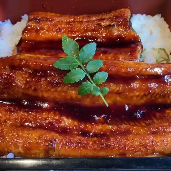 四季旬菜Kin一