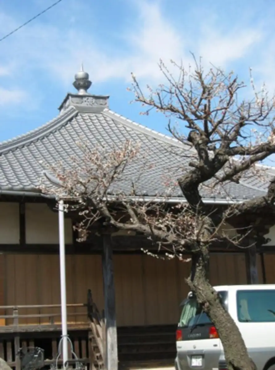 Ano Yama Oi Tera